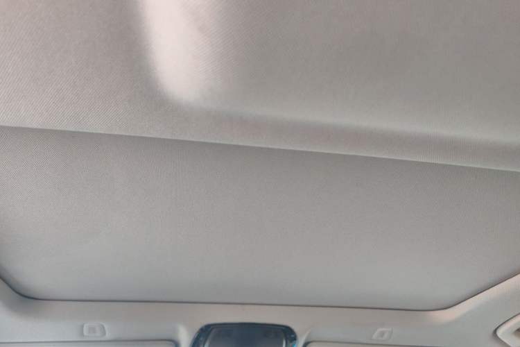 Used BMW 5 Series 2020 525Li Luxury Package Headliner