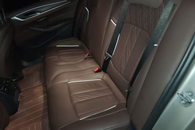 Used BMW 5 Series 2020 530Li xDrive Luxury Package Left Rear Seat