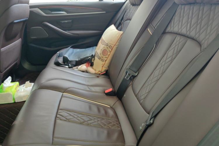 Used BMW 5 Series 2020 530Li Leading Edition Luxury Package Left Rear Seat