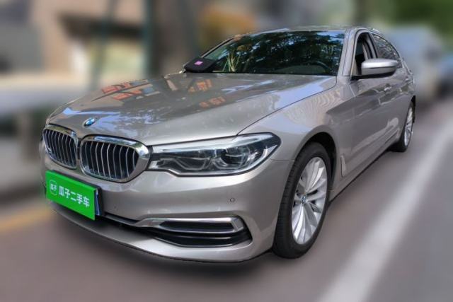 Used BMW 5 Series 2020 530Li Leading Edition Luxury Package