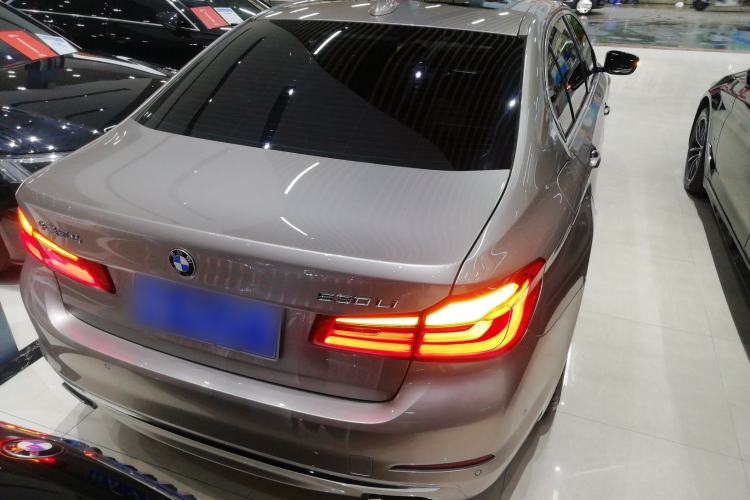 Used BMW 5 Series 2020 530Li Leading Edition Luxury Package Rear