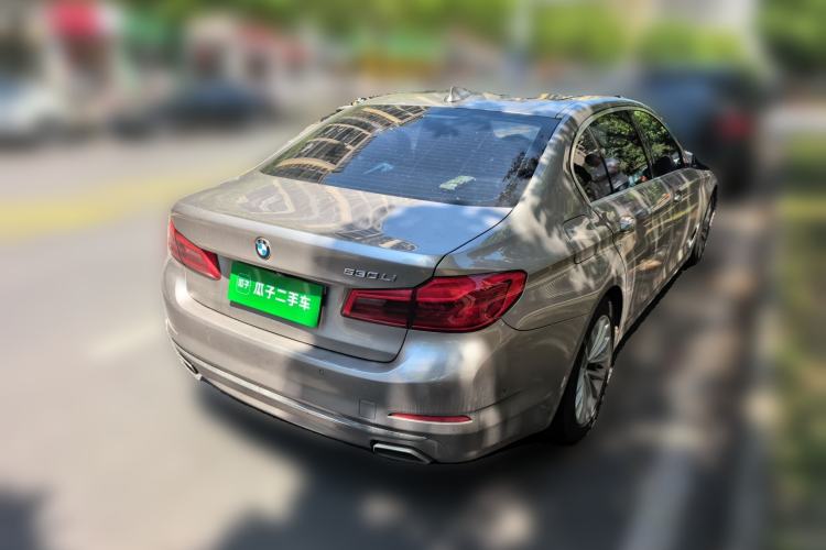 Used BMW 5 Series 2020 530Li Luxury Edition Premium Package Rear Right 45 Deg