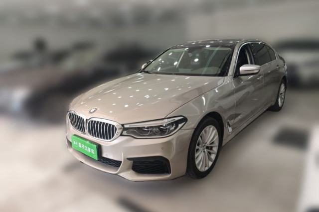 Used BMW 5 Series 2020 530Li Leading Edition Luxury Package