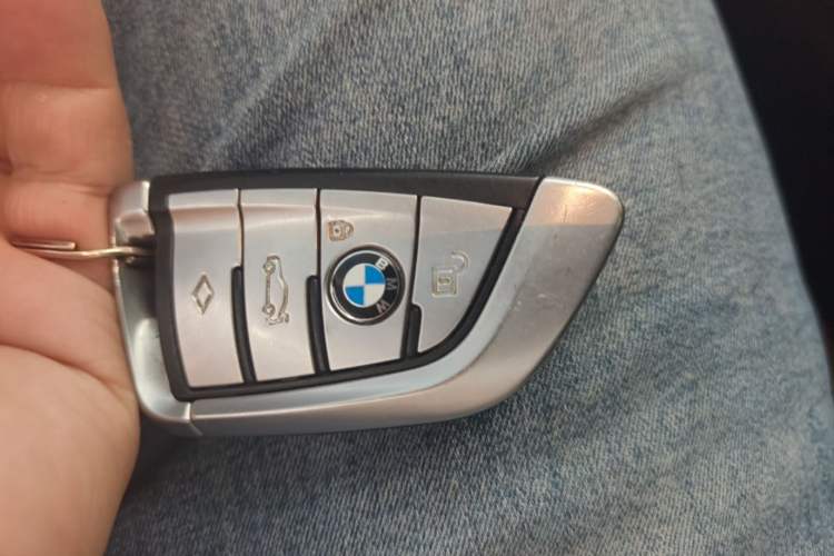 Used BMW 5 Series 2020 530Li Luxury Edition Premium Package Vehicle Key