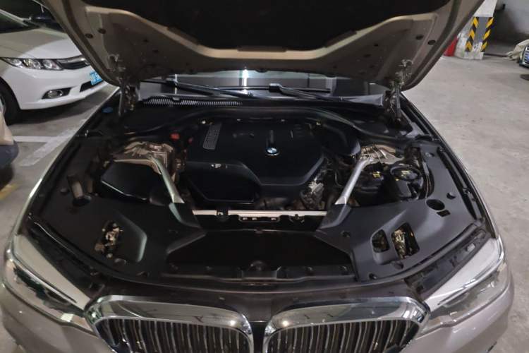 Used BMW 5 Series 2020 530Li Leading Edition Luxury Package Engine Bay
