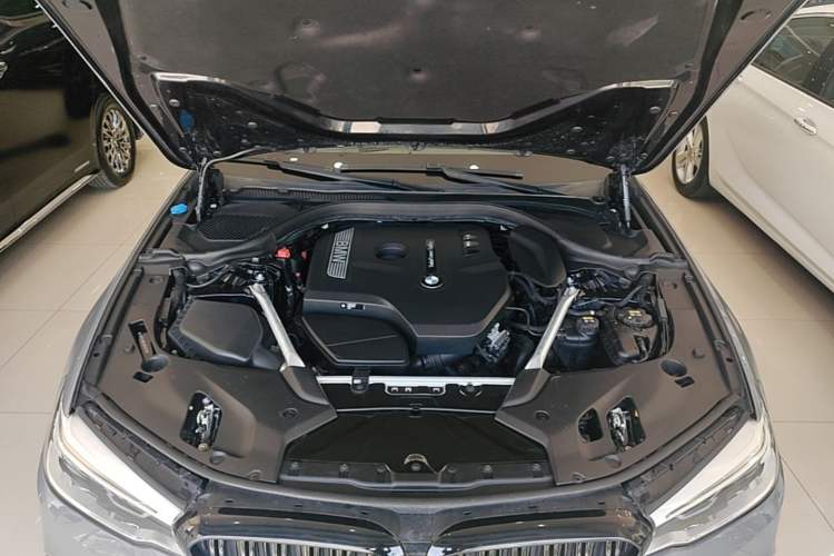 Used BMW 5 Series 2020 530Li Luxury Edition M Sport Package Engine Bay