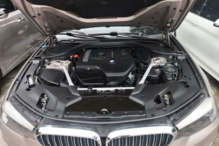 Used BMW 5 Series 2020 525Li Luxury Package Engine Bay