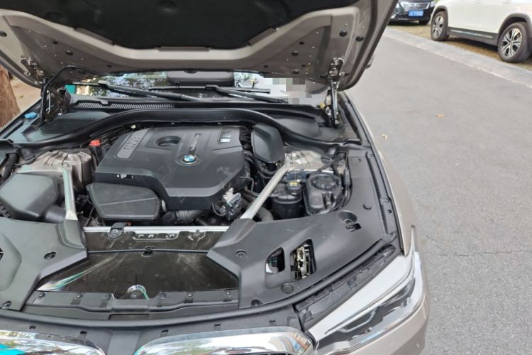 Used BMW 5 Series 2020 530Li Luxury Edition Premium Package Engine Bay Left