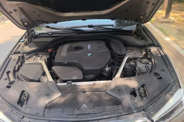 Used BMW 5 Series 2020 530Li Leading Edition Luxury Package Engine Bay
