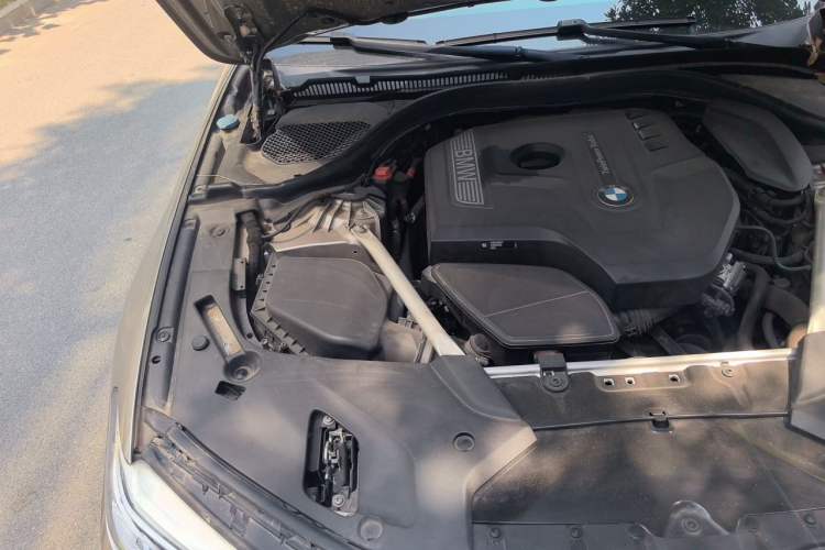 Used BMW 5 Series 2020 530Li Leading Edition Luxury Package Engine Bay Right