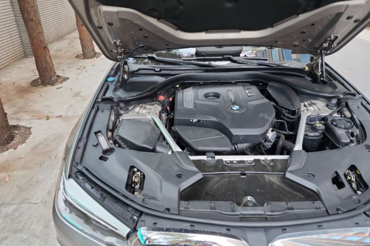 Used BMW 5 Series 2020 530Li Luxury Edition Premium Package Engine Bay Right