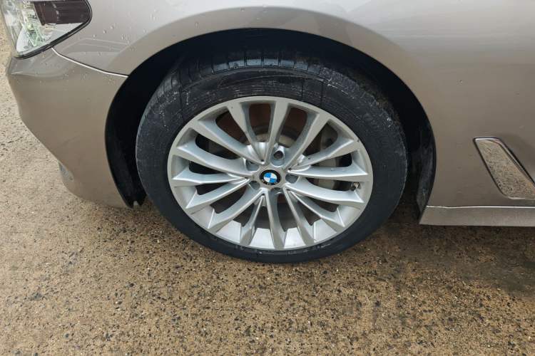 Used BMW 5 Series 2020 530Li Leading Edition Luxury Package Exterior 4