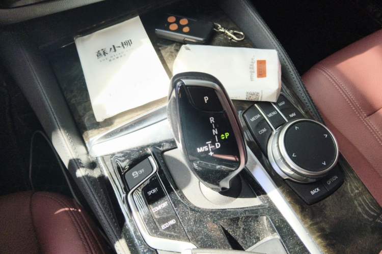 Used BMW 5 Series 2020 530Li Leading Model M Sport Package Gear Lever