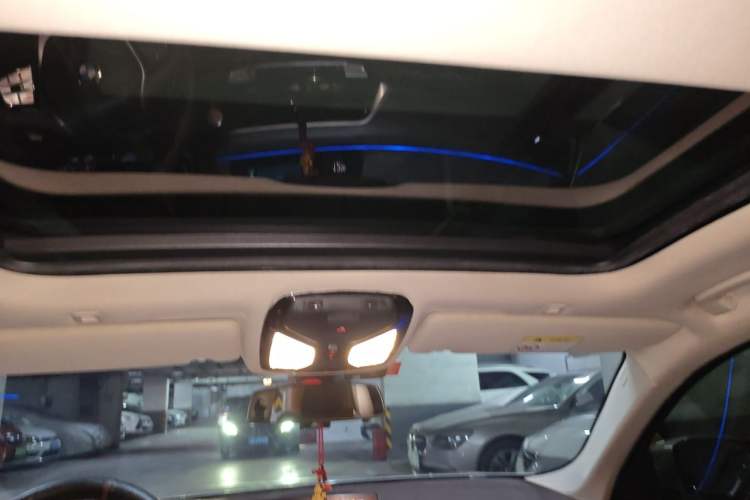 Used BMW 5 Series 2020 530Li Leading Edition Luxury Package Headliner