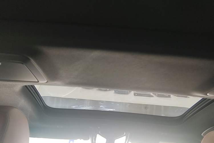 Used BMW 5 Series 2020 530Li Luxury Edition M Sport Package Headliner