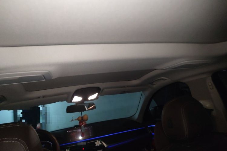 Used BMW 5 Series 2020 530Li Leading Edition Luxury Package Headliner