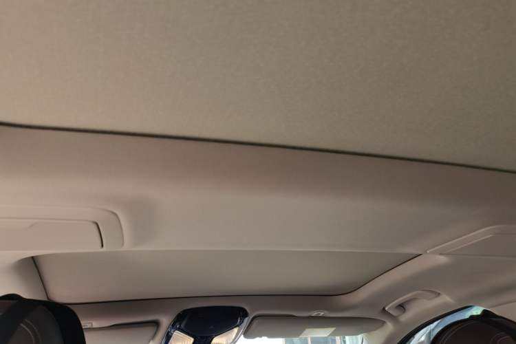 Used BMW 5 Series 2020 530Li xDrive Luxury Package Headliner