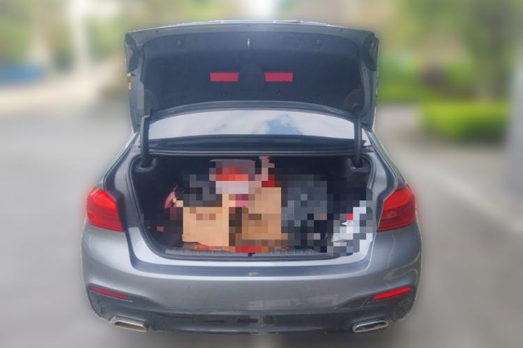 Used BMW 5 Series 2020 525i M Sport Package Trunk