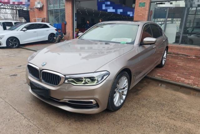 Used BMW 5 Series 2020 530Li Leading Edition Luxury Package