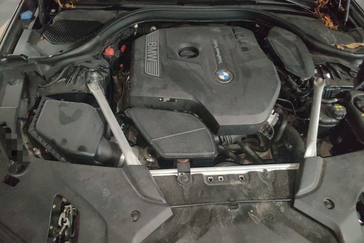 Used BMW 5 Series 2020 530Li Luxury Edition M Sport Package Engine Bay
