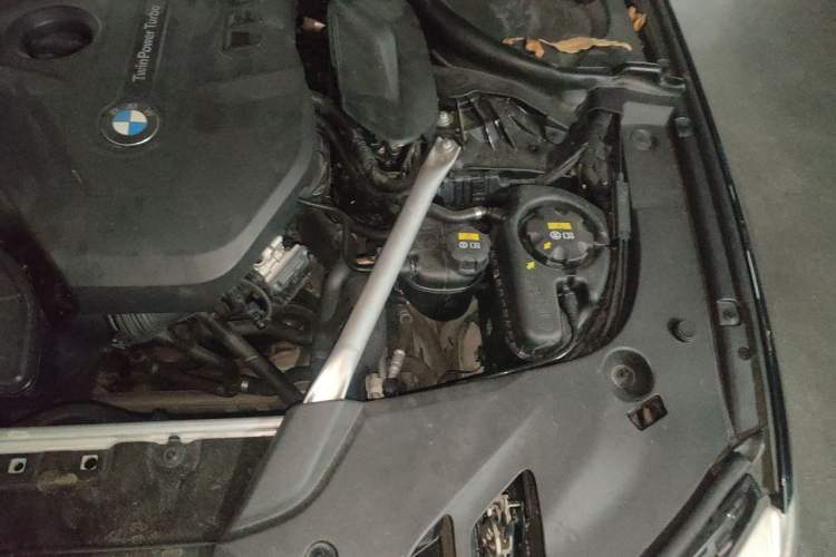 Used BMW 5 Series 2020 530Li Luxury Edition M Sport Package Engine Bay Left