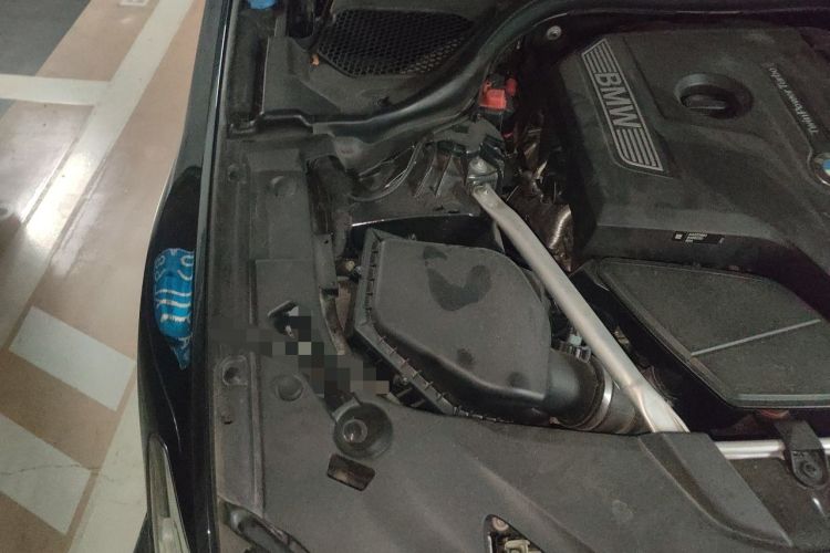 Used BMW 5 Series 2020 530Li Luxury Edition M Sport Package Engine Bay Right