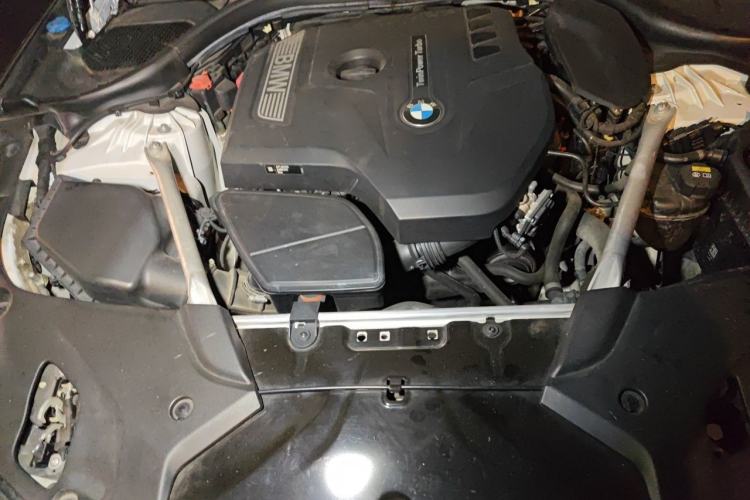 Used BMW 5 Series 2020 530Li Luxury Edition Premium Package Engine Bay
