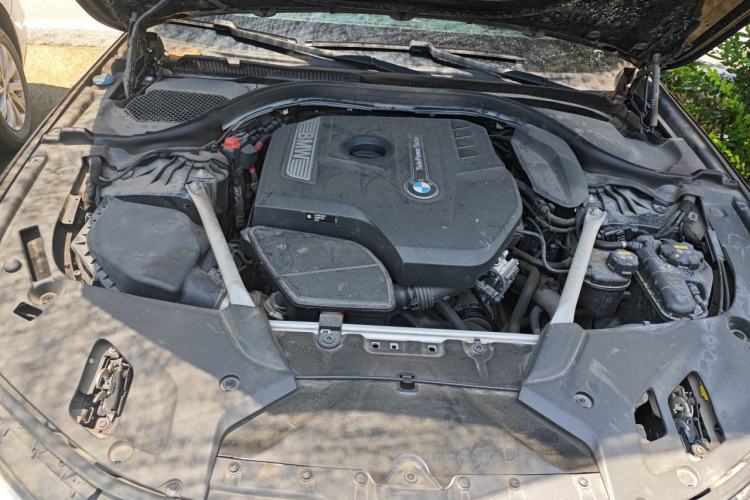 Used BMW 5 Series 2020 530Li Luxury Edition M Sport Package Engine Bay