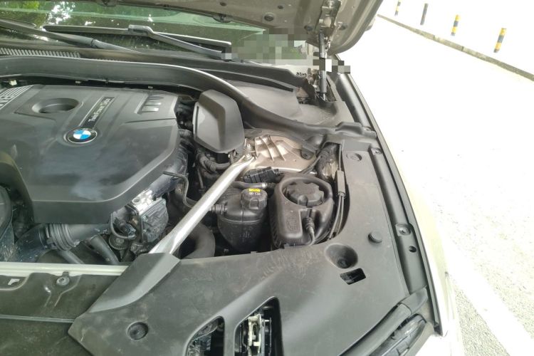 Used BMW 5 Series 2020 530Li Luxury Edition Premium Package Engine Bay Left