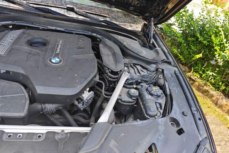 Used BMW 5 Series 2020 530Li Luxury Edition M Sport Package Engine Bay Left