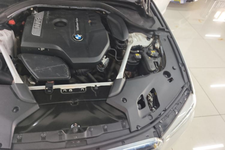Used BMW 5 Series 2020 530Li Leading Edition Luxury Package Engine Bay Left