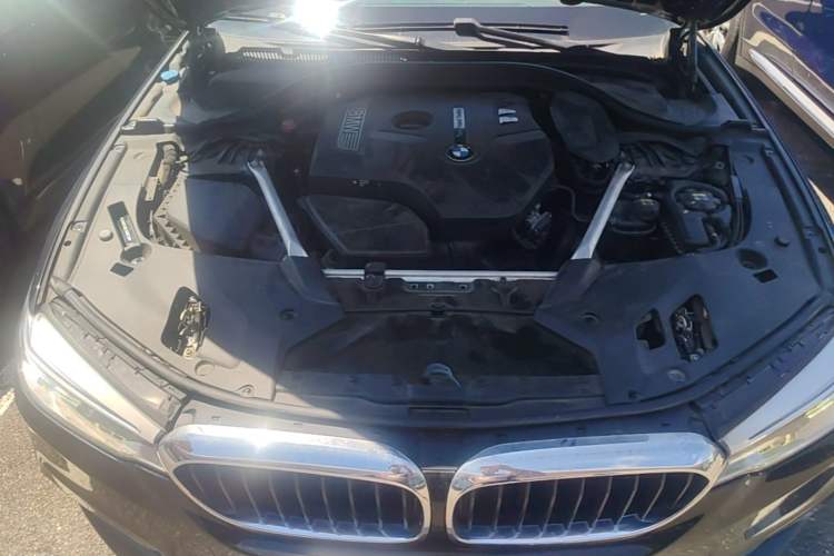 Used BMW 5 Series 2020 530Li Leading Model M Sport Package Engine Bay