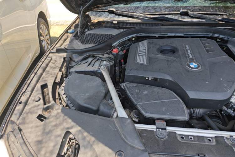 Used BMW 5 Series 2020 530Li Luxury Edition M Sport Package Engine Bay Right