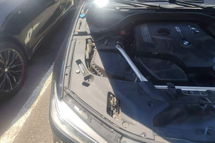 Used BMW 5 Series 2020 530Li Leading Model M Sport Package Engine Bay Right