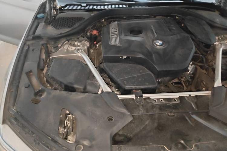 Used BMW 5 Series 2020 530Li Luxury Edition Premium Package Engine Bay Right