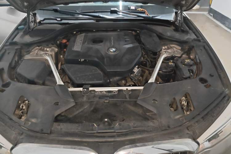 Used BMW 5 Series 2020 530Li Luxury Edition Premium Package Engine Bay
