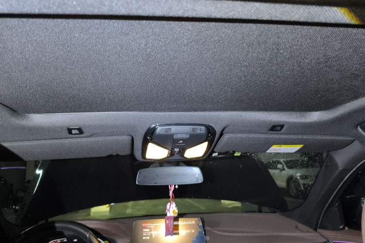 Used BMW 5 Series 2020 525Li M Sport Package Headliner
