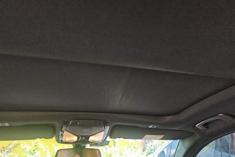 Used BMW 5 Series 2020 530Li Luxury Edition M Sport Package Headliner
