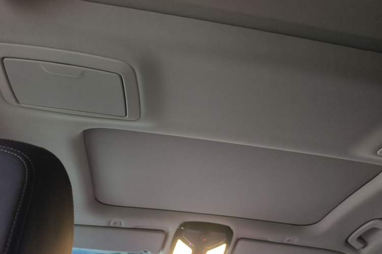 Used BMW 5 Series 2020 530Li Leading Edition Luxury Package Headliner