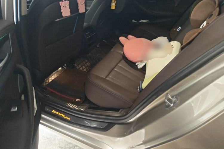 Used BMW 5 Series 2020 525Li Luxury Package Left Rear Seat