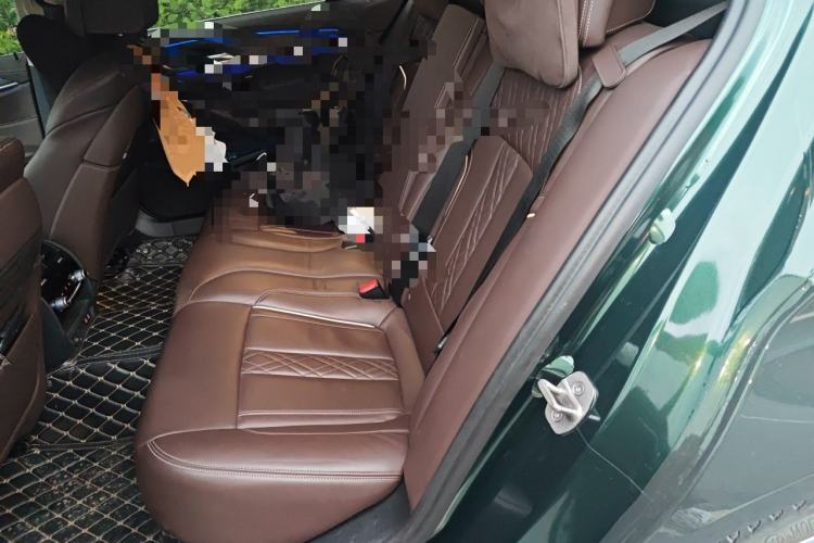 Used BMW 5 Series 2020 530Li Luxury Edition Premium Package Left Rear Seat