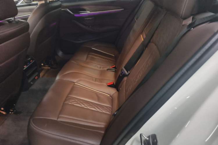 Used BMW 5 Series 2020 530Li Leading Edition Luxury Package Left Rear Seat