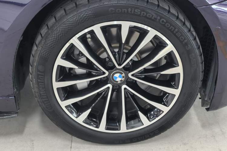 Used BMW 5 Series 2020 530Li Leading Edition Luxury Package Exterior 8