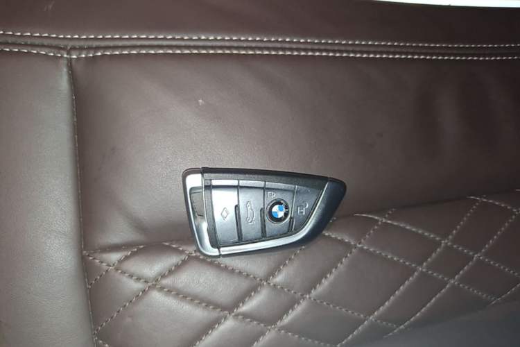 Used BMW 5 Series 2020 530Li Leading Edition Luxury Package Vehicle Key
