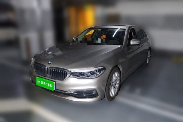 Used BMW 5 Series 2020 530Li Leading Edition Luxury Package