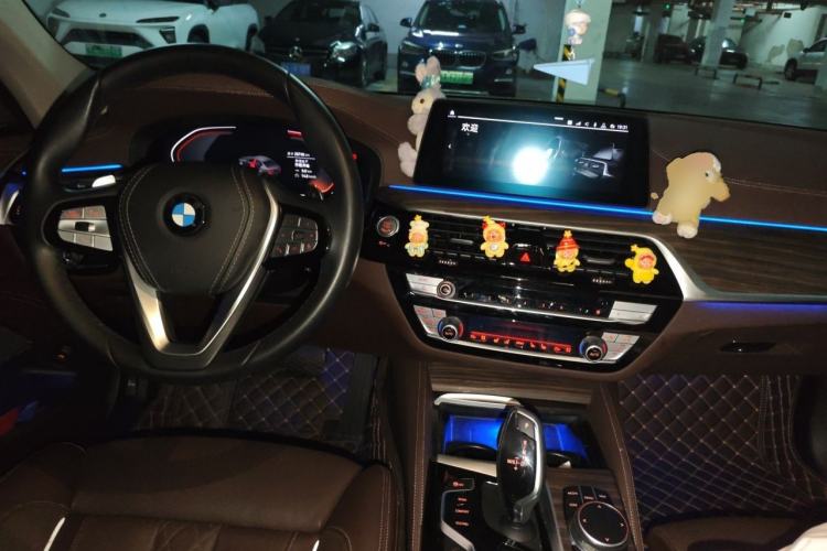 Used BMW 5 Series 2020 530Li Luxury Edition Premium Package Center Console