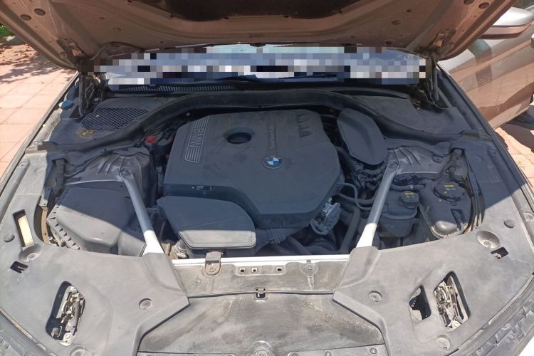 Used BMW 5 Series 2020 530Li Leading Edition Luxury Package Engine Bay