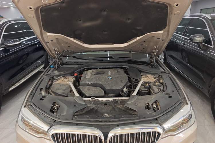 Used BMW 5 Series 2020 530Li Leading Edition Luxury Package Engine Bay