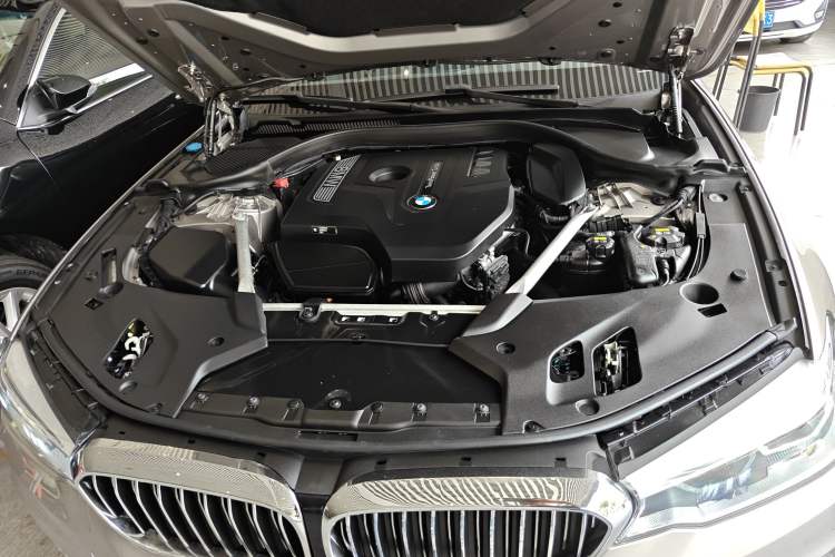 Used BMW 5 Series 2020 530Li Leading Edition Luxury Package Engine Bay