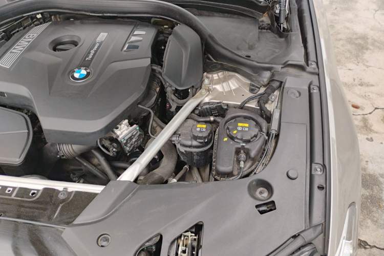 Used BMW 5 Series 2020 530Li Luxury Edition Premium Package Engine Bay Left